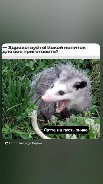 Утро после увольнения... | Сетка — социальная сеть от hh.ru