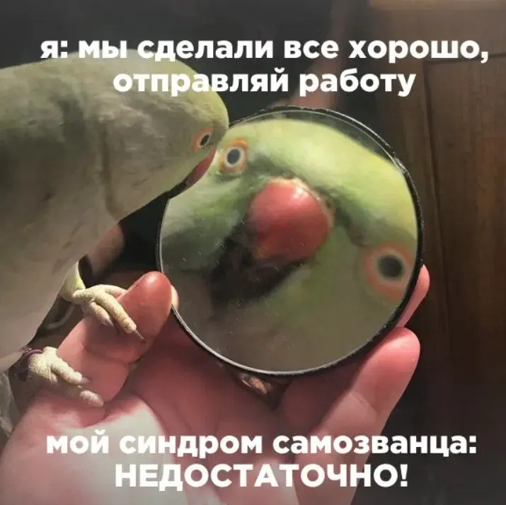 Почему я благодарна синдрому самозванца | Сетка — социальная сеть от hh.ru