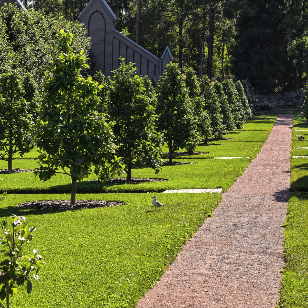 ☀️  Доброе утро. Всем хорошего настроения | Сетка — социальная сеть от hh.ru