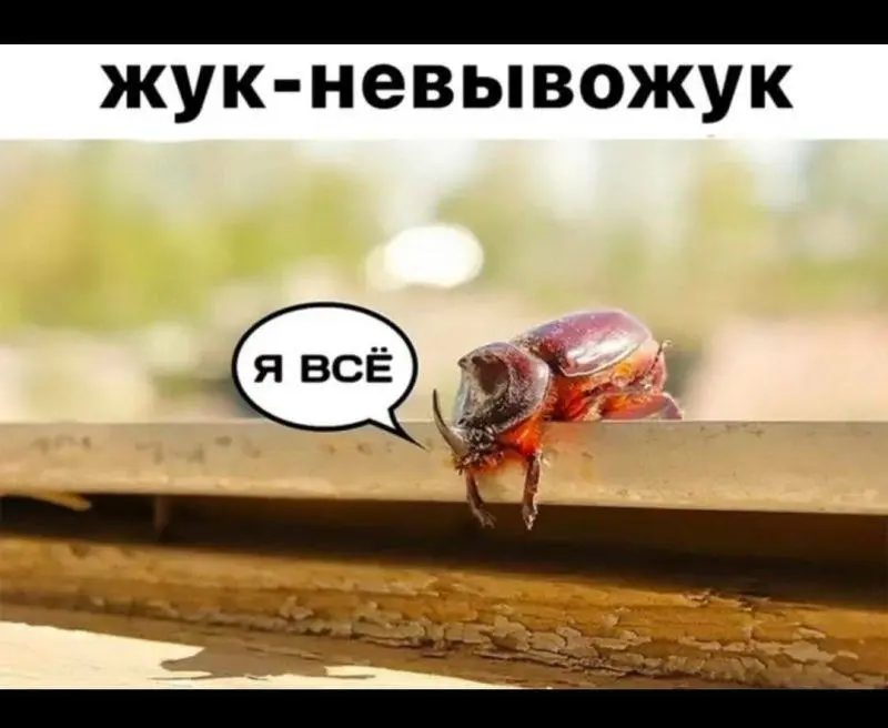 #monday | Сетка — социальная сеть от hh.ru