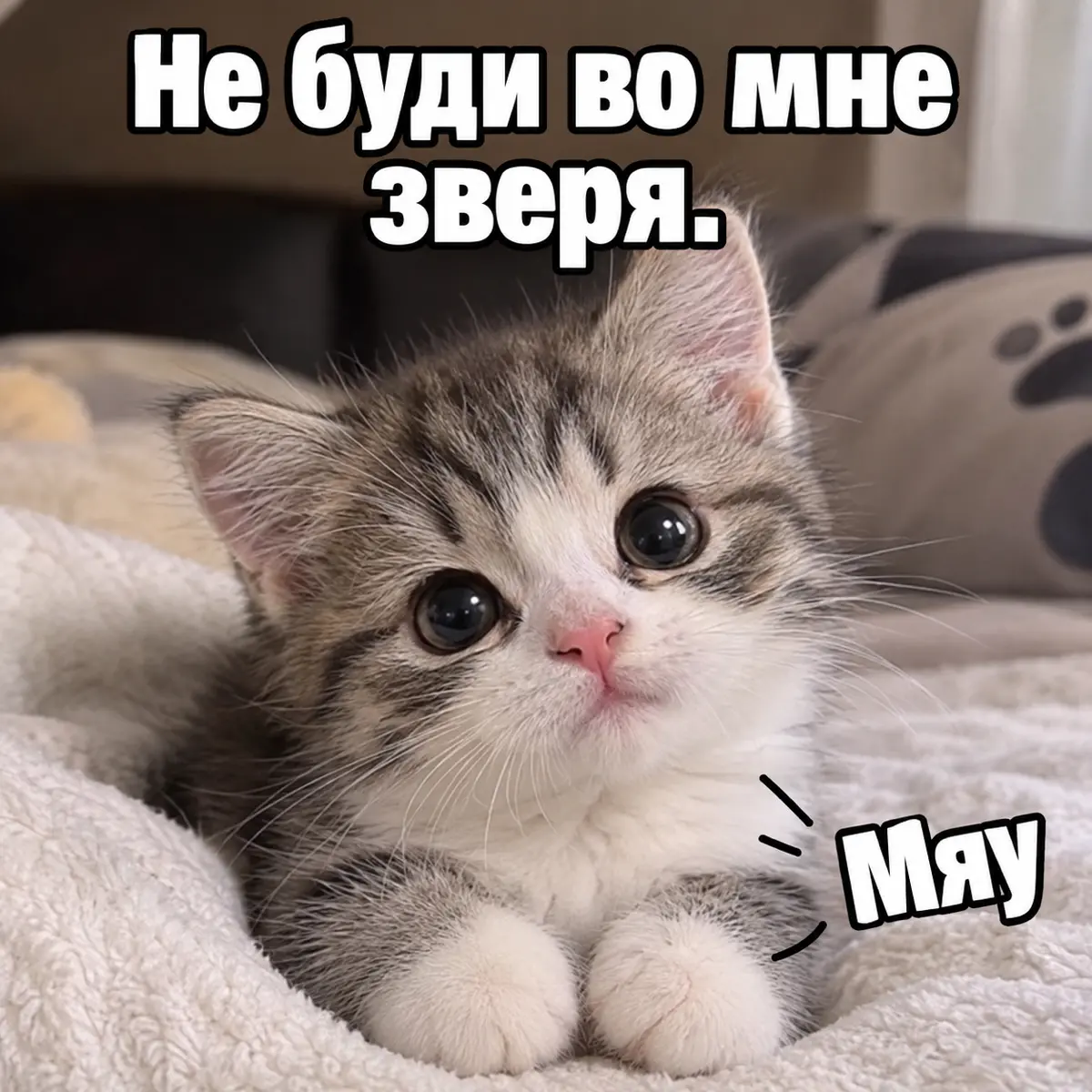 Гнев как ресурс | Сетка — социальная сеть от hh.ru