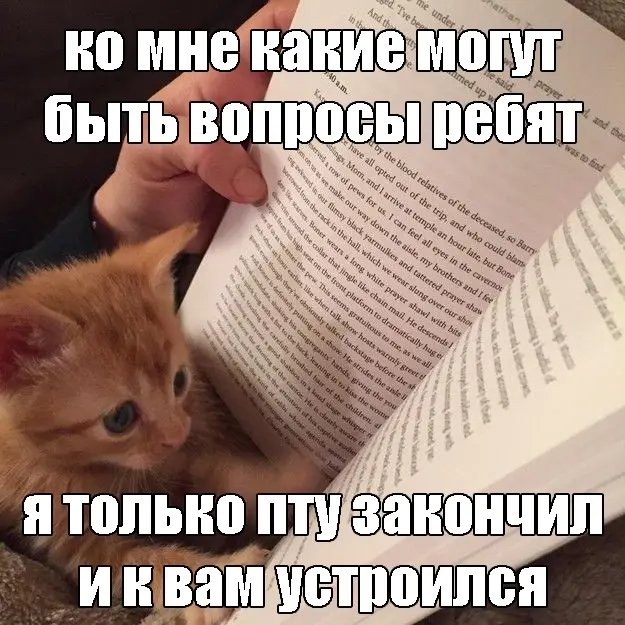Подборка мемов про рабочие процессы. Сохраняйте, чтобы поделиться с коллегами 😜 | Сетка — социальная сеть от hh.ru