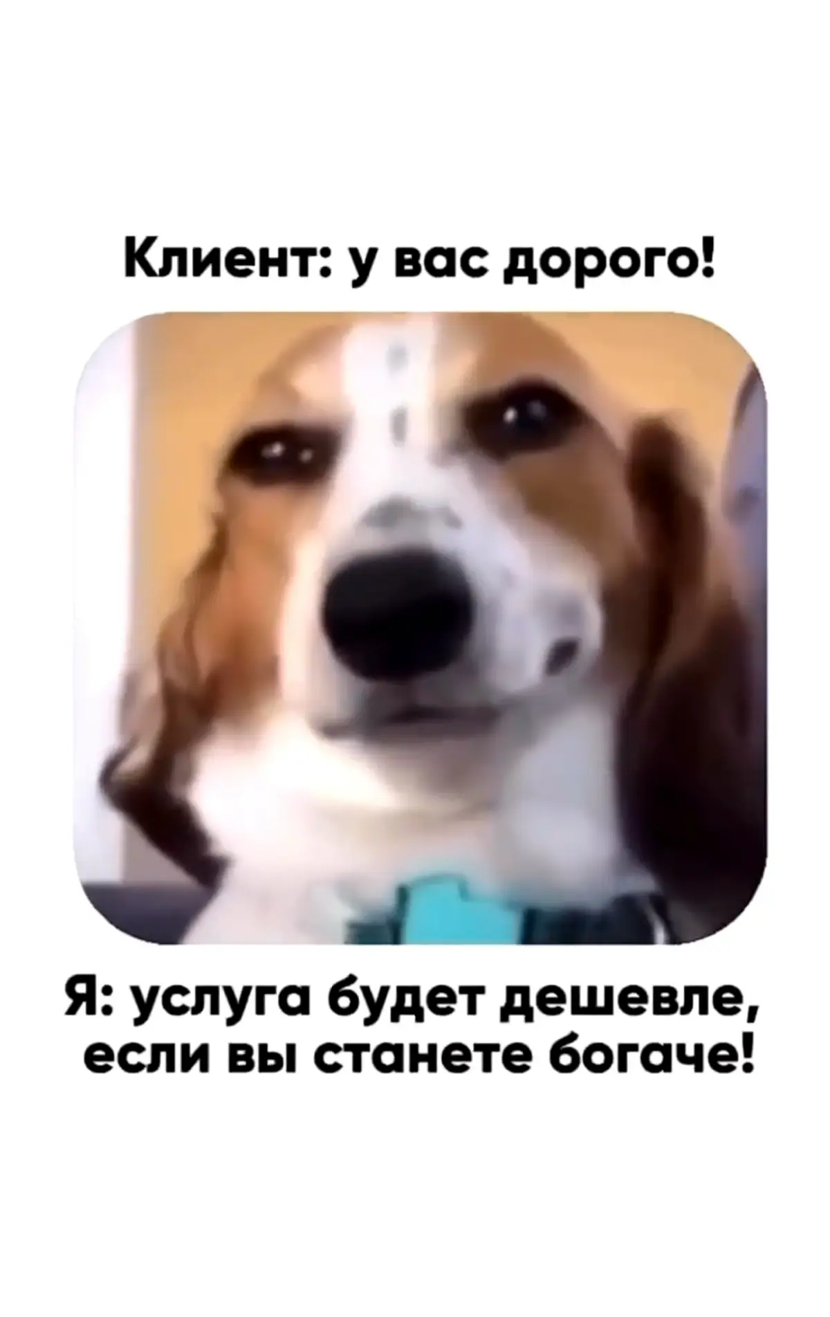 Нарабатываю навык продаж | Сетка — социальная сеть от hh.ru