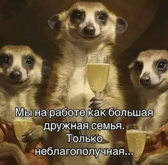 «Мы как семья» — самый опасный красный флаг на собеседовании | Сетка — социальная сеть от hh.ru