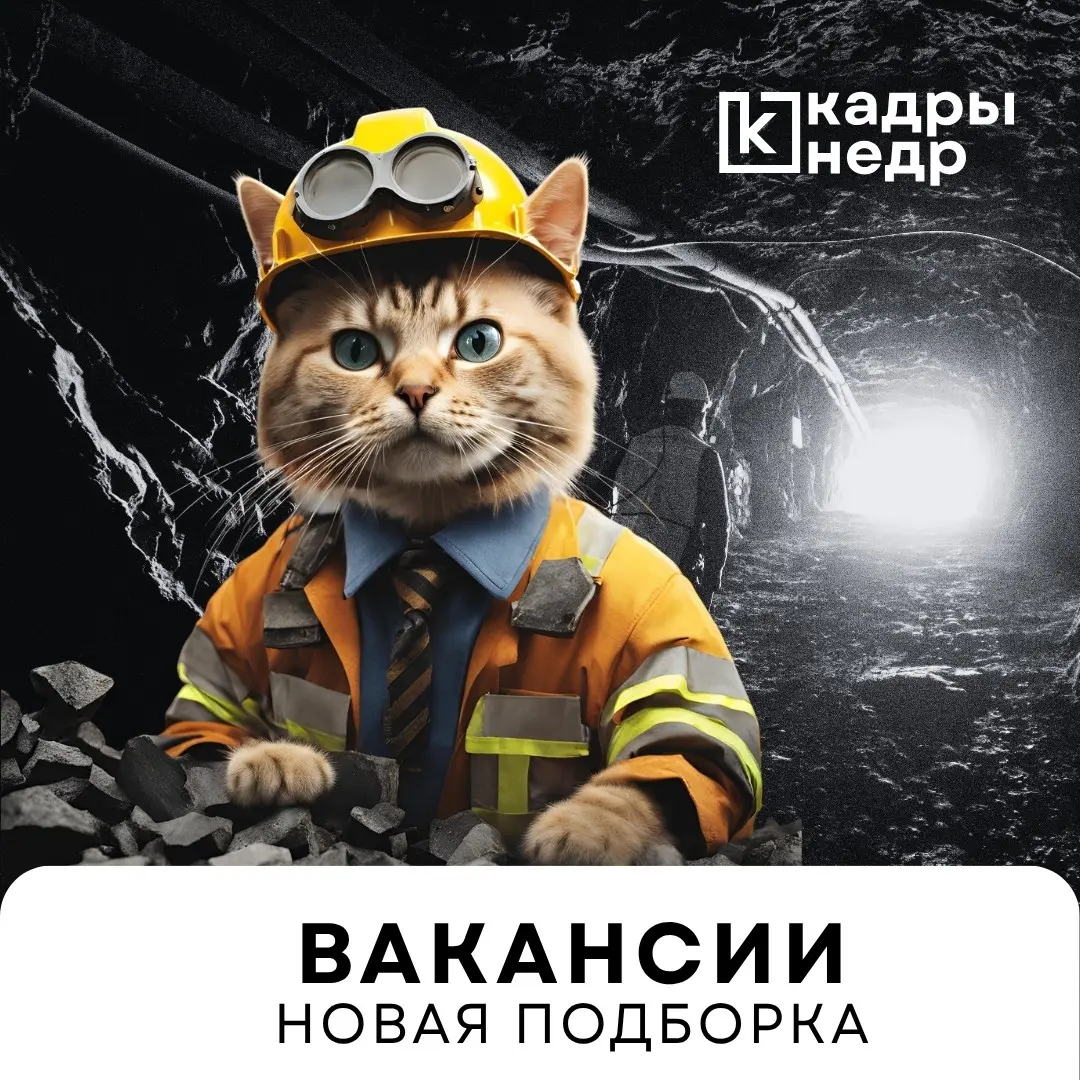 Директор по открытым горным работам
Компания: Кастор
Локация: Москва
Руководитель R&D-программы
Компания: Норинкель
Локация: Москва/Санкт-Петербург
Главный менеджер по геологии
Компания: Алроса
Локаци... | Сетка — социальная сеть от hh.ru