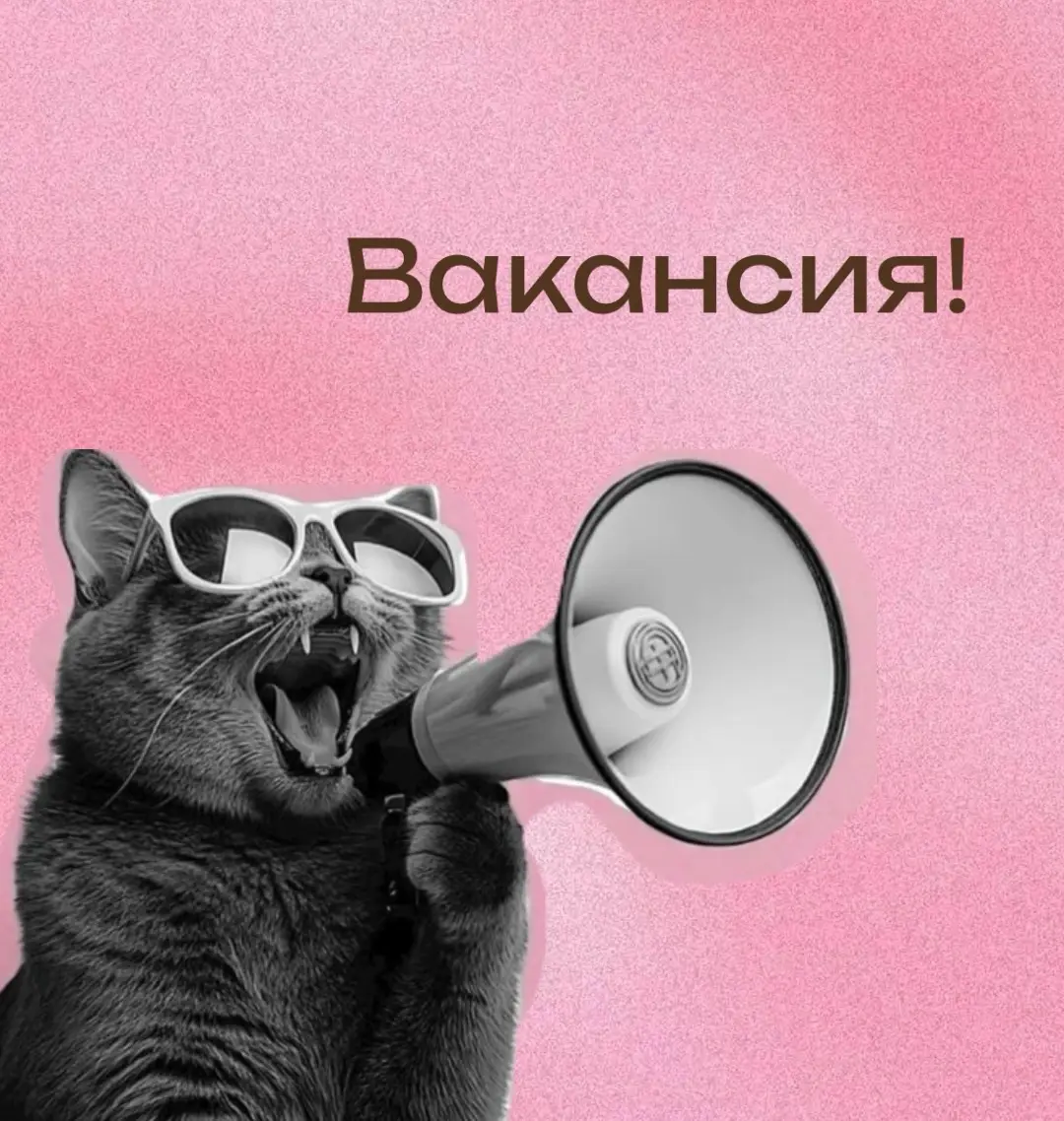Вакансия на менеджера отдела продаж (ВНЖ Испания) ☺️ | Сетка — социальная сеть от hh.ru