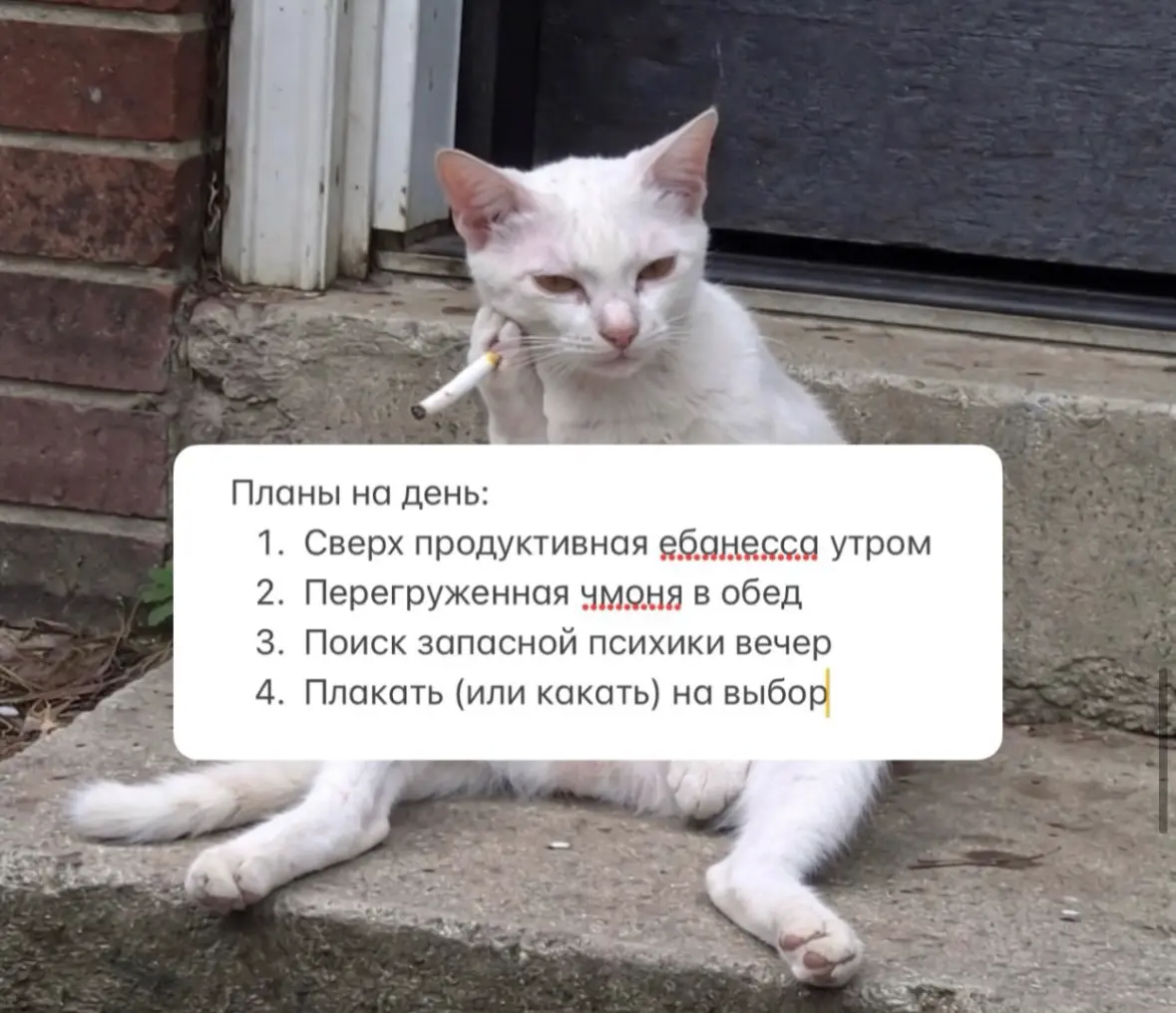 Никакой сверхпродуктивности конечно же не было😂 | Сетка — социальная сеть от hh.ru