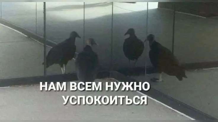 Рабочий буллинг | Сетка — социальная сеть от hh.ru