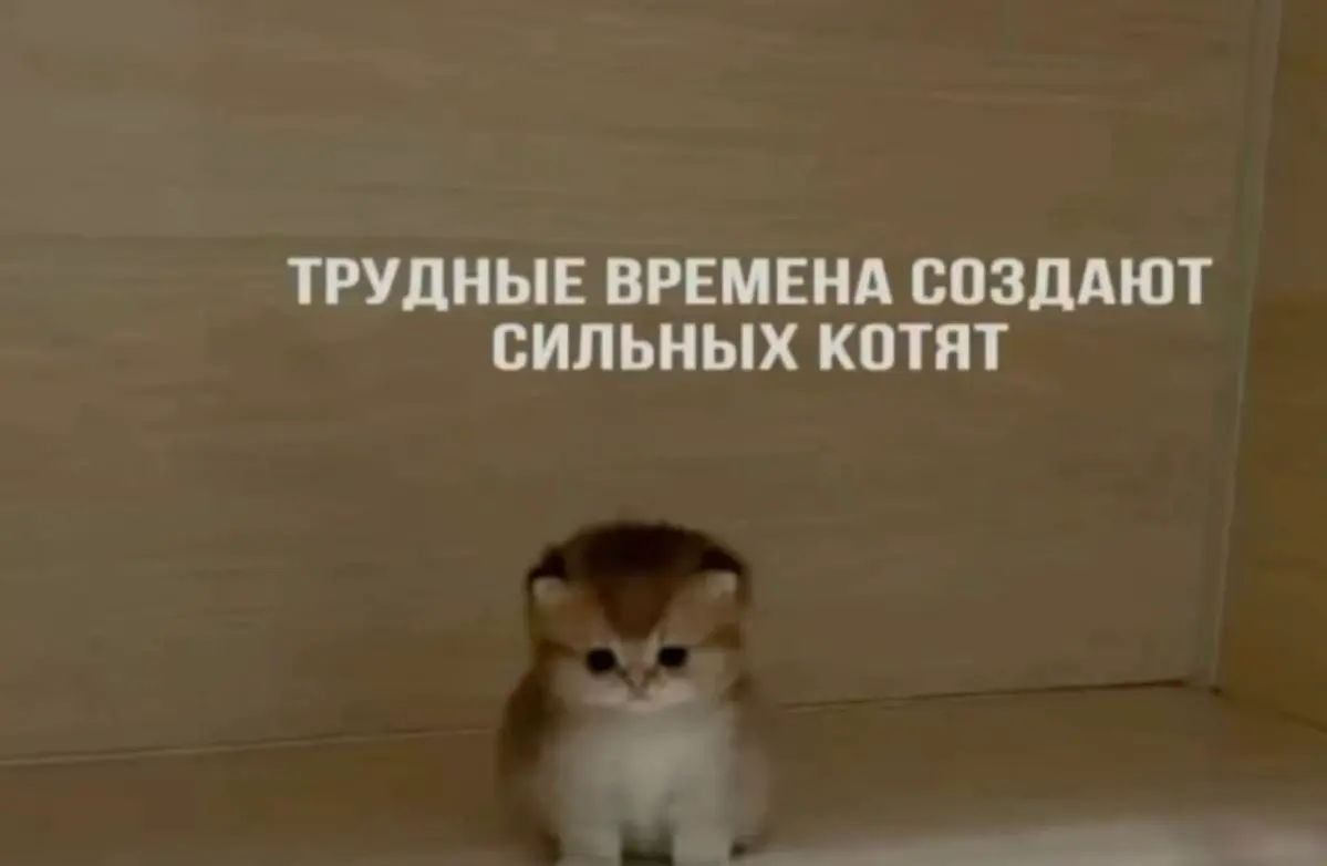 Рабочий буллинг | Сетка — социальная сеть от hh.ru
