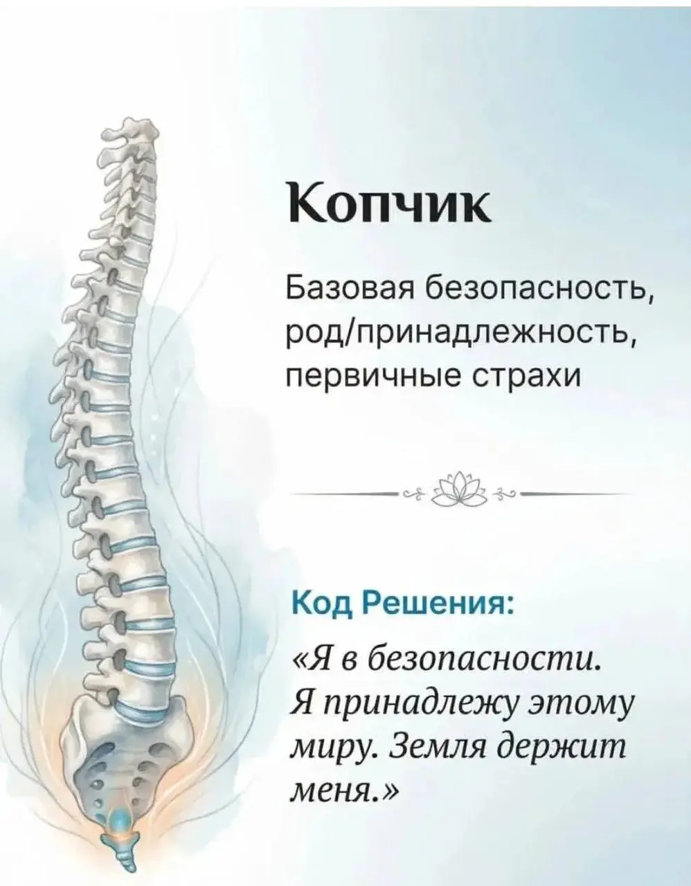 Когда болит спина, о чем это говорит | Сетка — социальная сеть от hh.ru