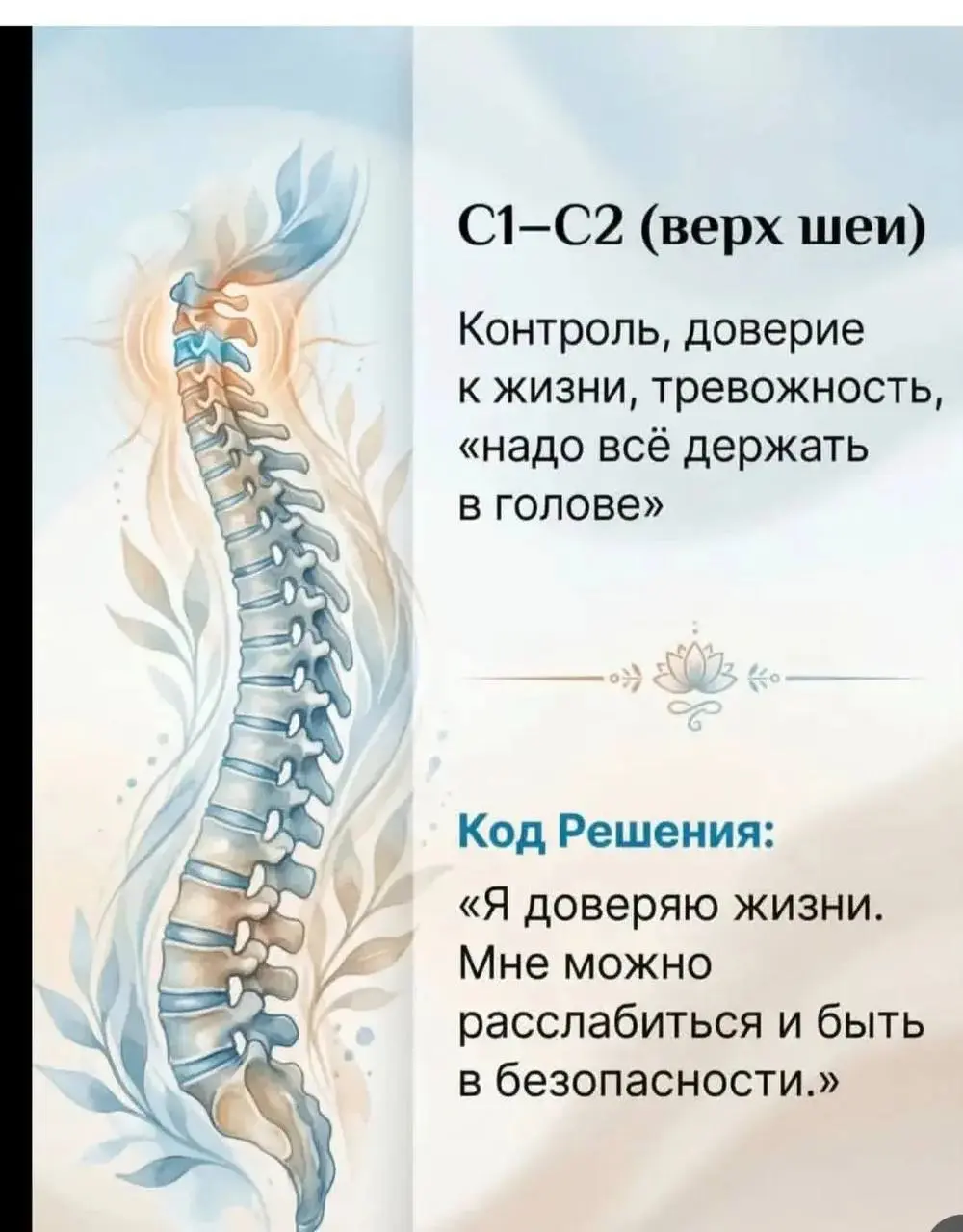 Когда болит спина, о чем это говорит | Сетка — социальная сеть от hh.ru