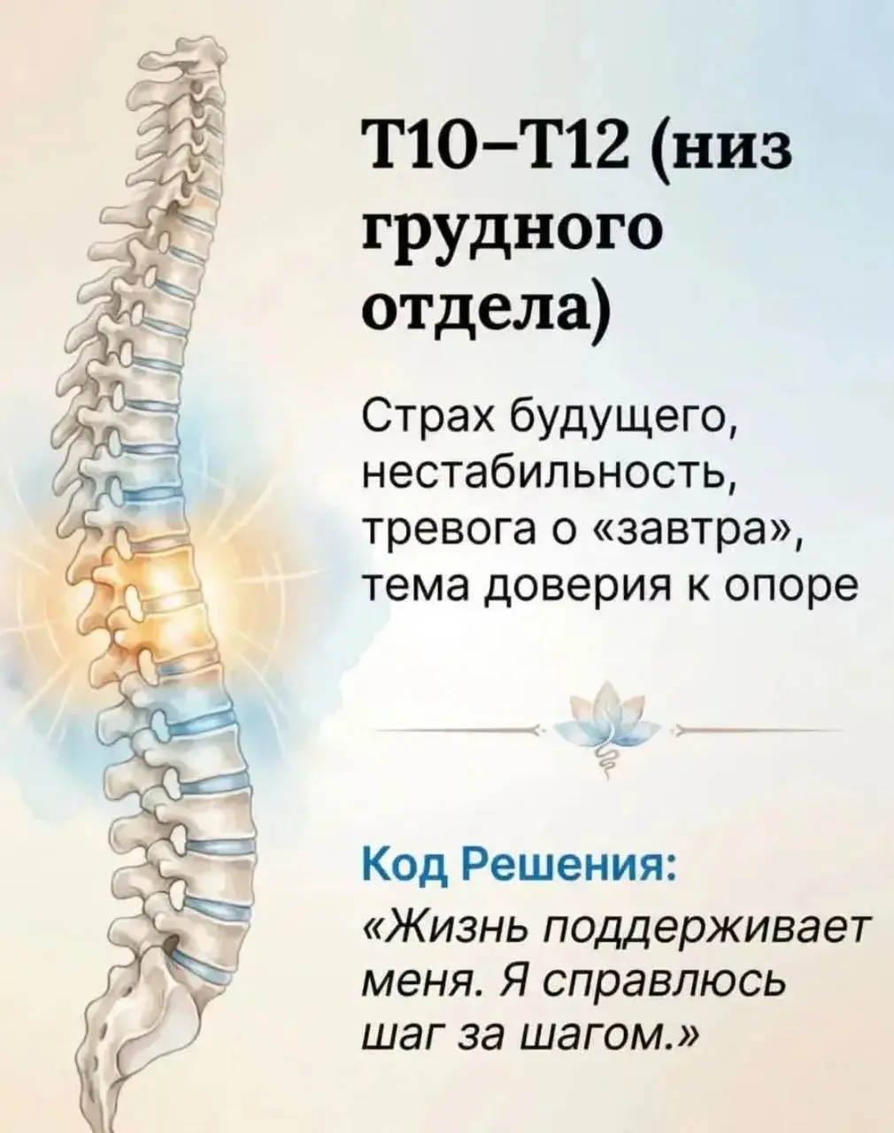 Когда болит спина, о чем это говорит | Сетка — социальная сеть от hh.ru