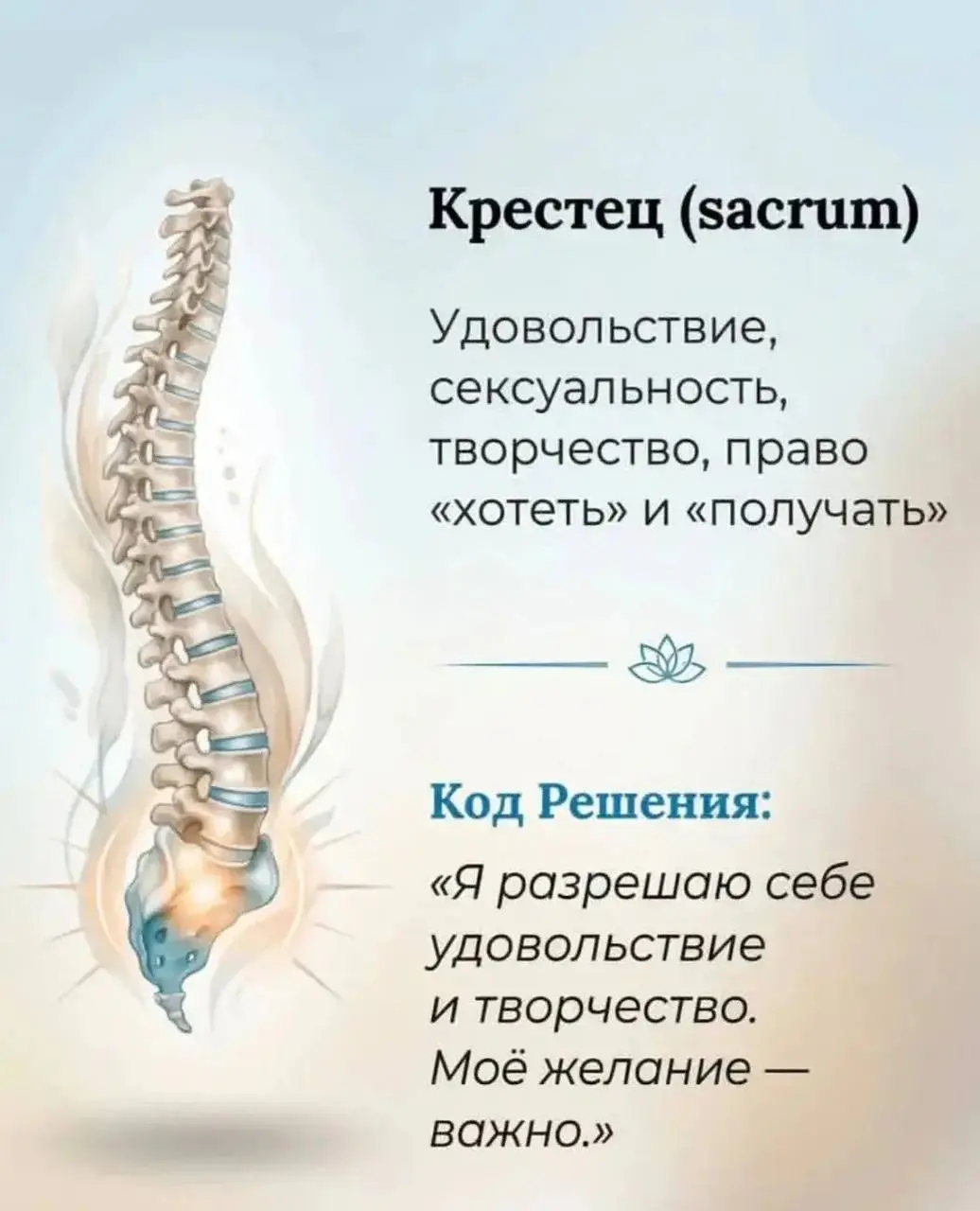 Когда болит спина, о чем это говорит | Сетка — социальная сеть от hh.ru