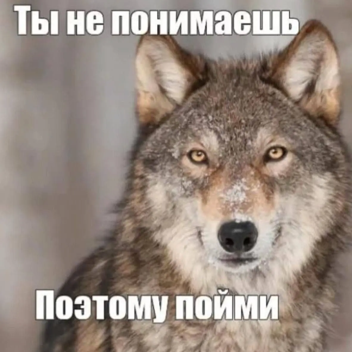 Почему твоё резюме иногда живёт примерно 3 секунды?
Открыли. Пробежались глазами. Закрыли. Следующее 😒
Самая частая ошибка, которую я вижу как рекрутер: люди пишут обязанности вместо достижений | Сетка — социальная сеть от hh.ru