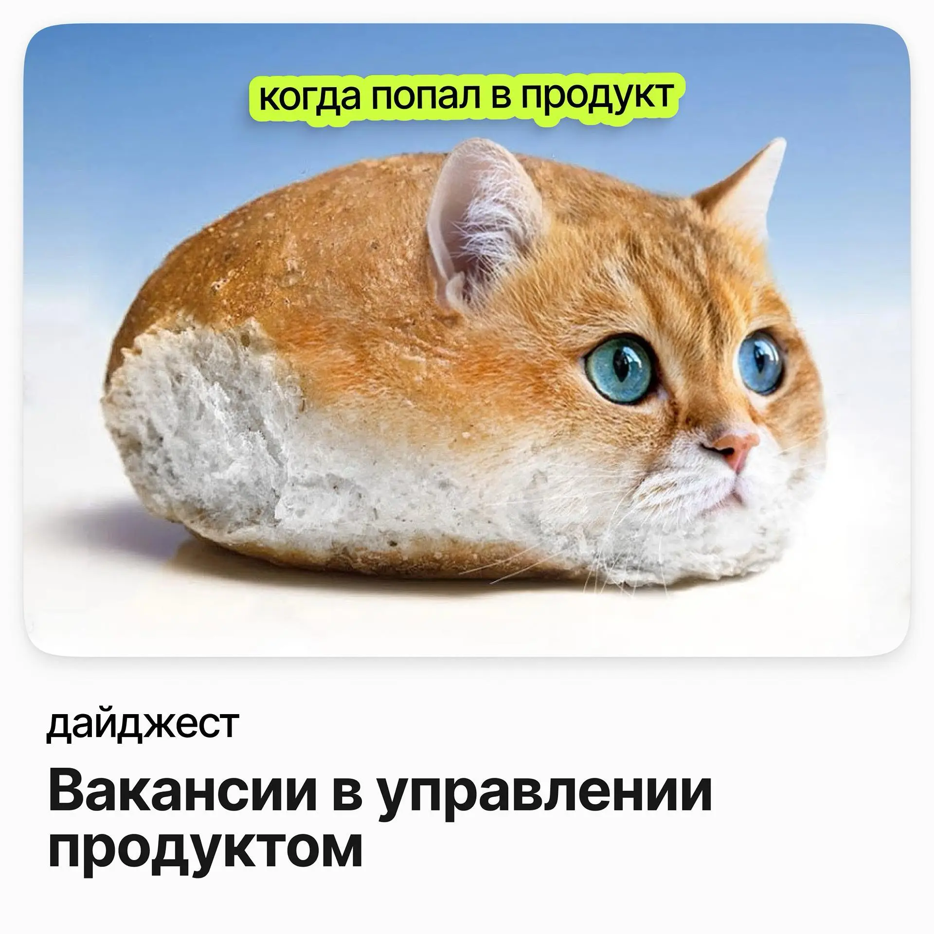 💼💼💼 Вакансии в управлении продуктом
CTO (Hands-on) / Технический директор / Сила ветра
Зарплата: от 300 000 ₽ /на руки
Подробнее
Менеджер проектов ИТ и ИБ / Invitro
Зарплата: от 323 000 ₽ /на руки
Под... | Сетка — социальная сеть от hh.ru