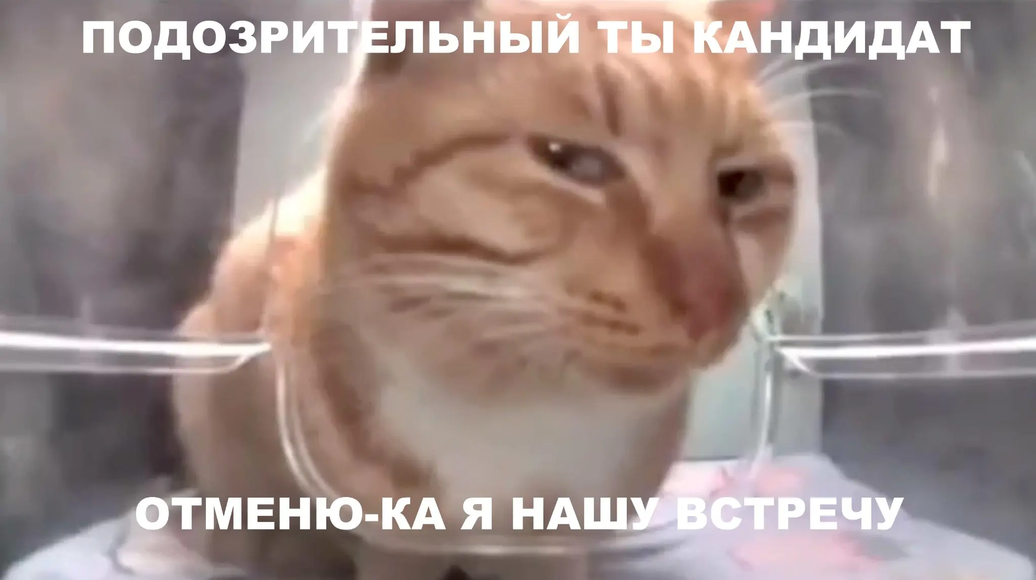 Кейс о том, как один рекрутер кандидата «сливал» | Сетка — социальная сеть от hh.ru