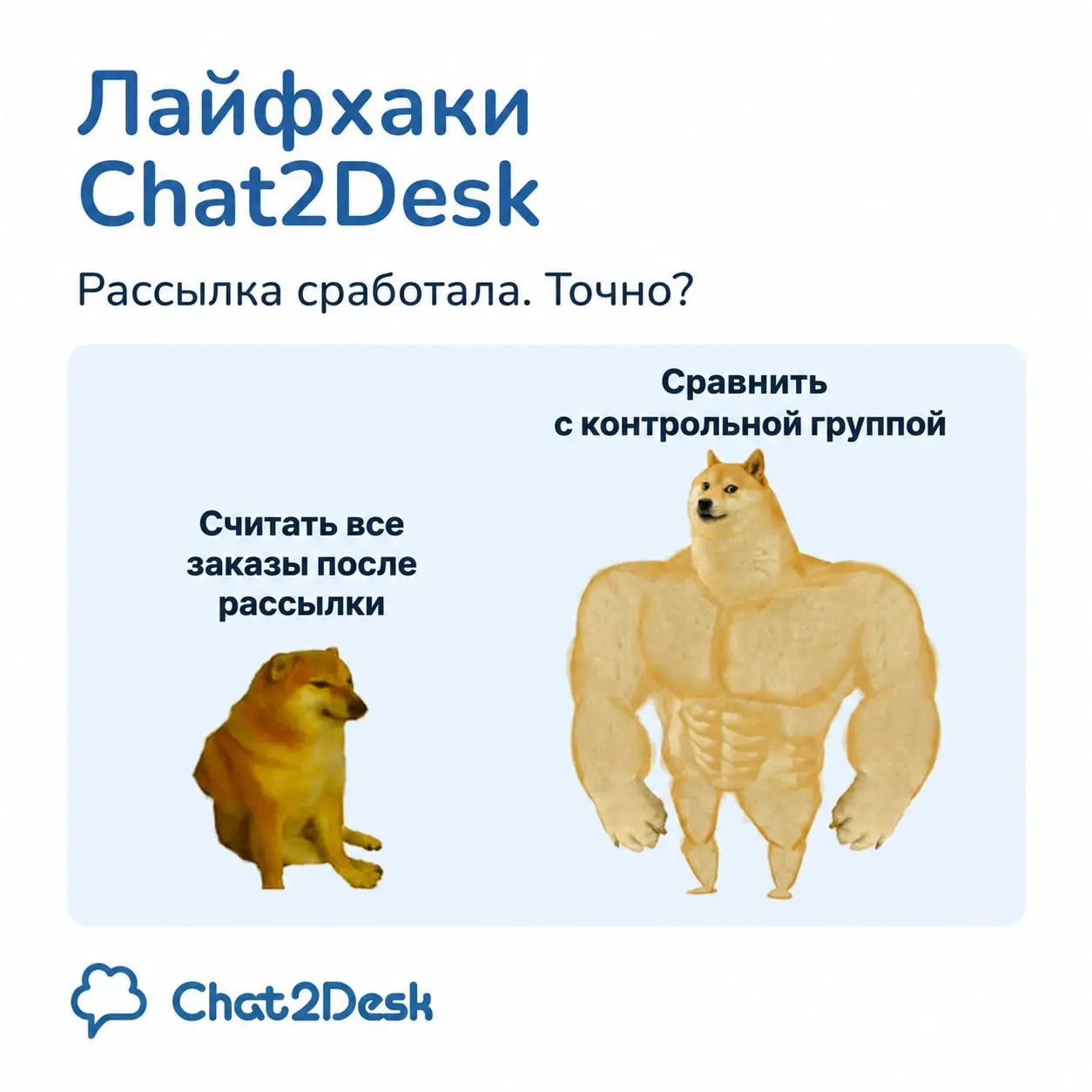 💸 Рассылка принесла продажи. Или они случились бы и без неё?
Вы отправили сообщение и получили 450 покупок | Сетка — социальная сеть от hh.ru