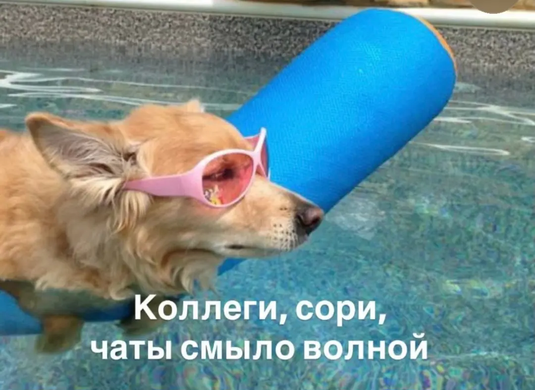 Ред флаг или третий звонок? | Сетка — социальная сеть от hh.ru