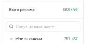 В одном из профессиональных чатов мне сегодня возразили.
Сказали, что не может быть такого, чтобы за день на вакансию приходило 100 или 200 откликов. Вот за три дня их набирается до 1000 | Сетка — социальная сеть от hh.ru
