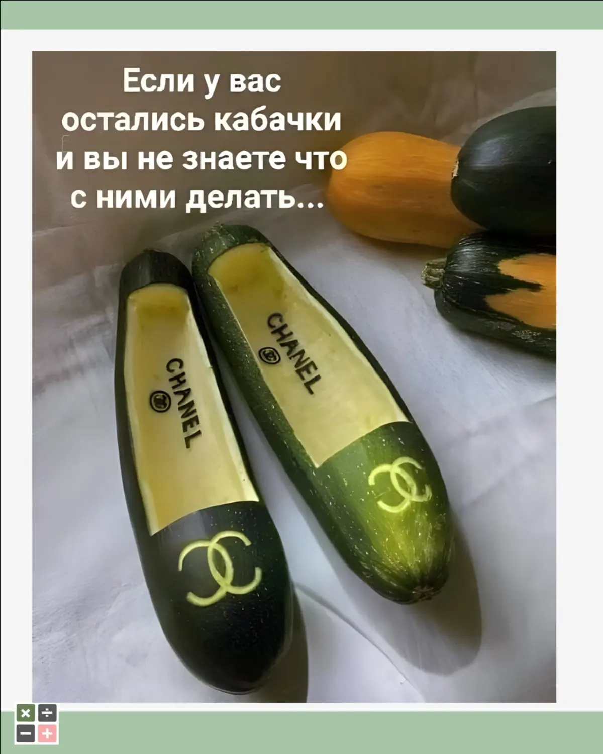 Если бы кабачки умели говорить | Сетка — социальная сеть от hh.ru
