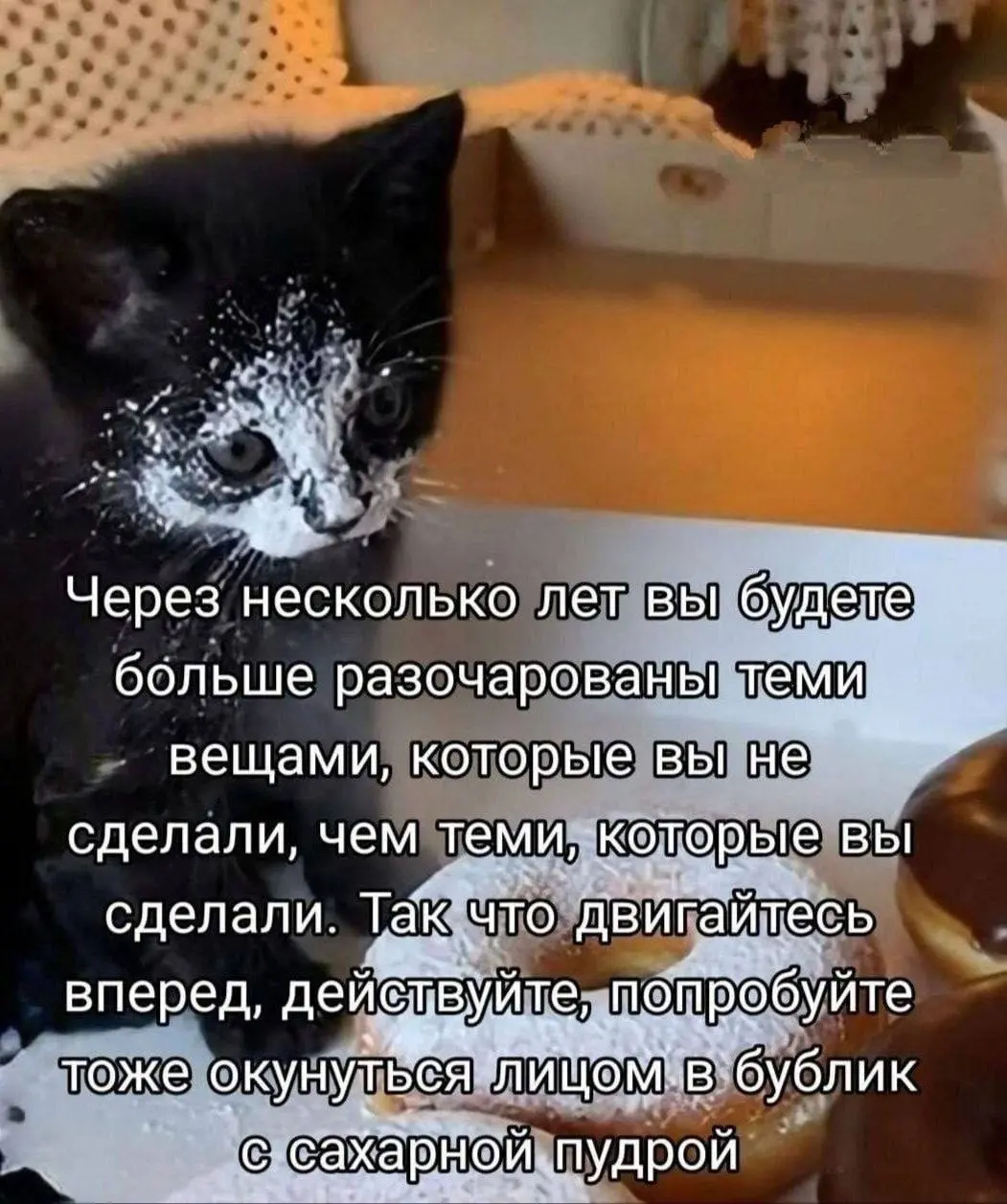 Бублик, мммммм..... 😂
БЛОГ В ТГ / БЛОГ В MAX
#Юмор #Коты
В этом посте были ссылки, но мы их удалили по правилам Сетки | Сетка — социальная сеть от hh.ru
