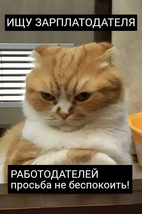 Ищу зарплатодателя | Сетка — социальная сеть от hh.ru