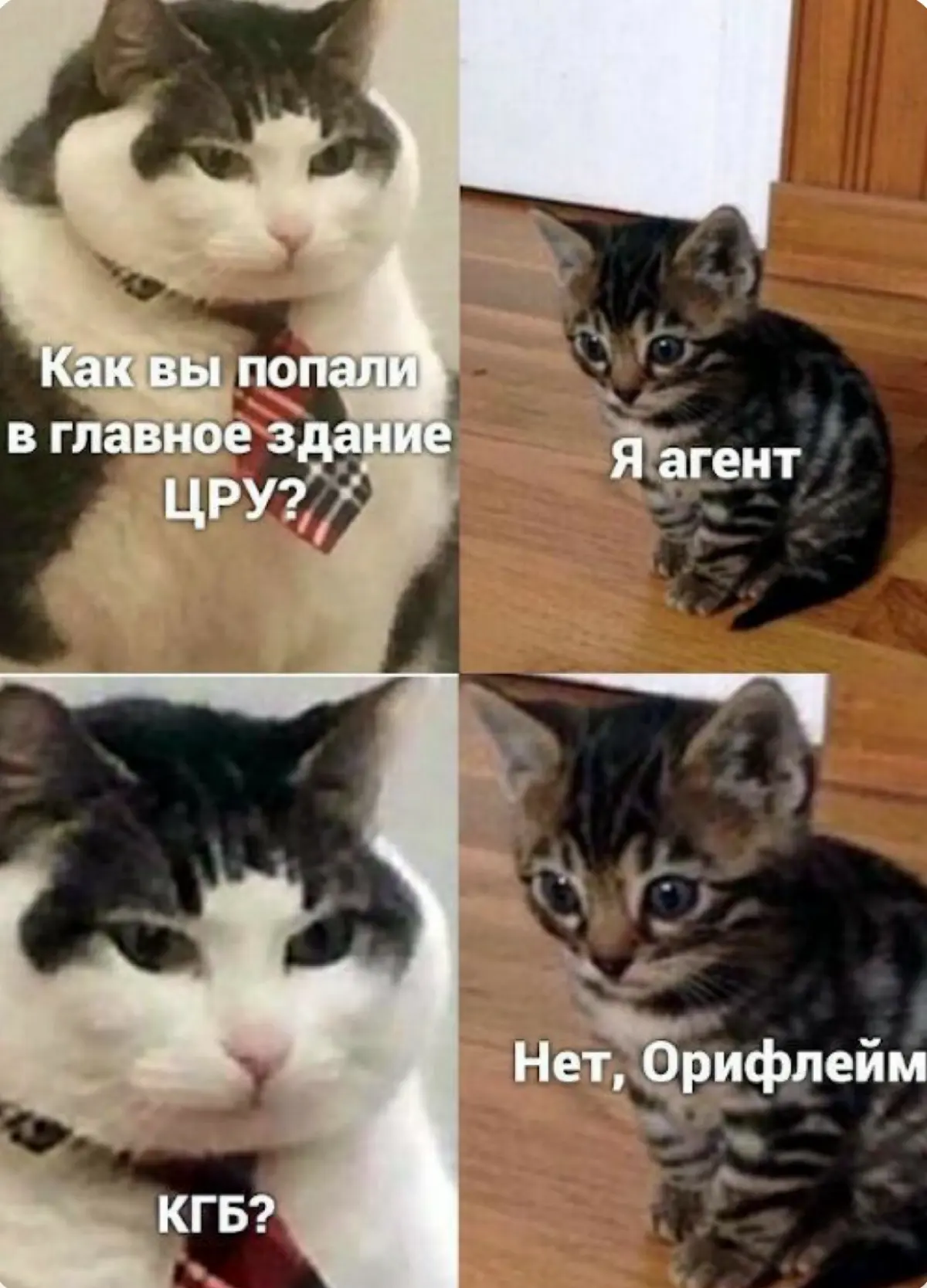 Почему ваш отклик так долго рассматривают | Сетка — социальная сеть от hh.ru