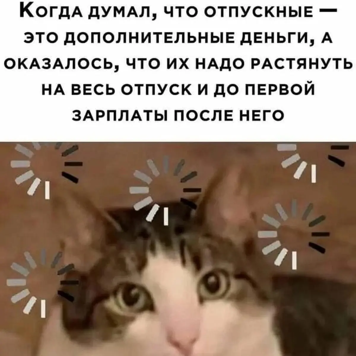 БЛИН... 🤦‍♂️ | Сетка — социальная сеть от hh.ru