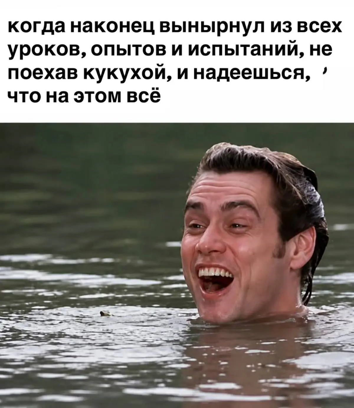 Принятие, стоицизм и выбор | Сетка — социальная сеть от hh.ru