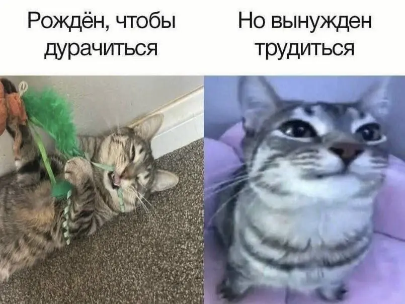 Я думала я одна. | Сетка — социальная сеть от hh.ru