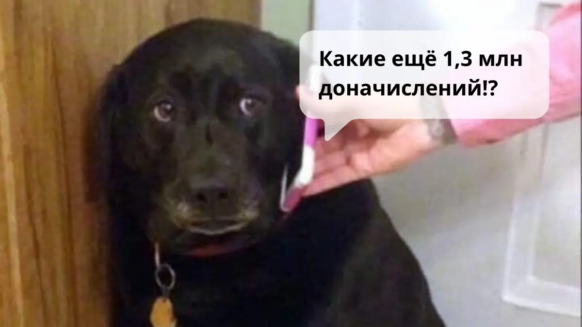 1,3 млн доначислений за непринятые расходы | Сетка — социальная сеть от hh.ru