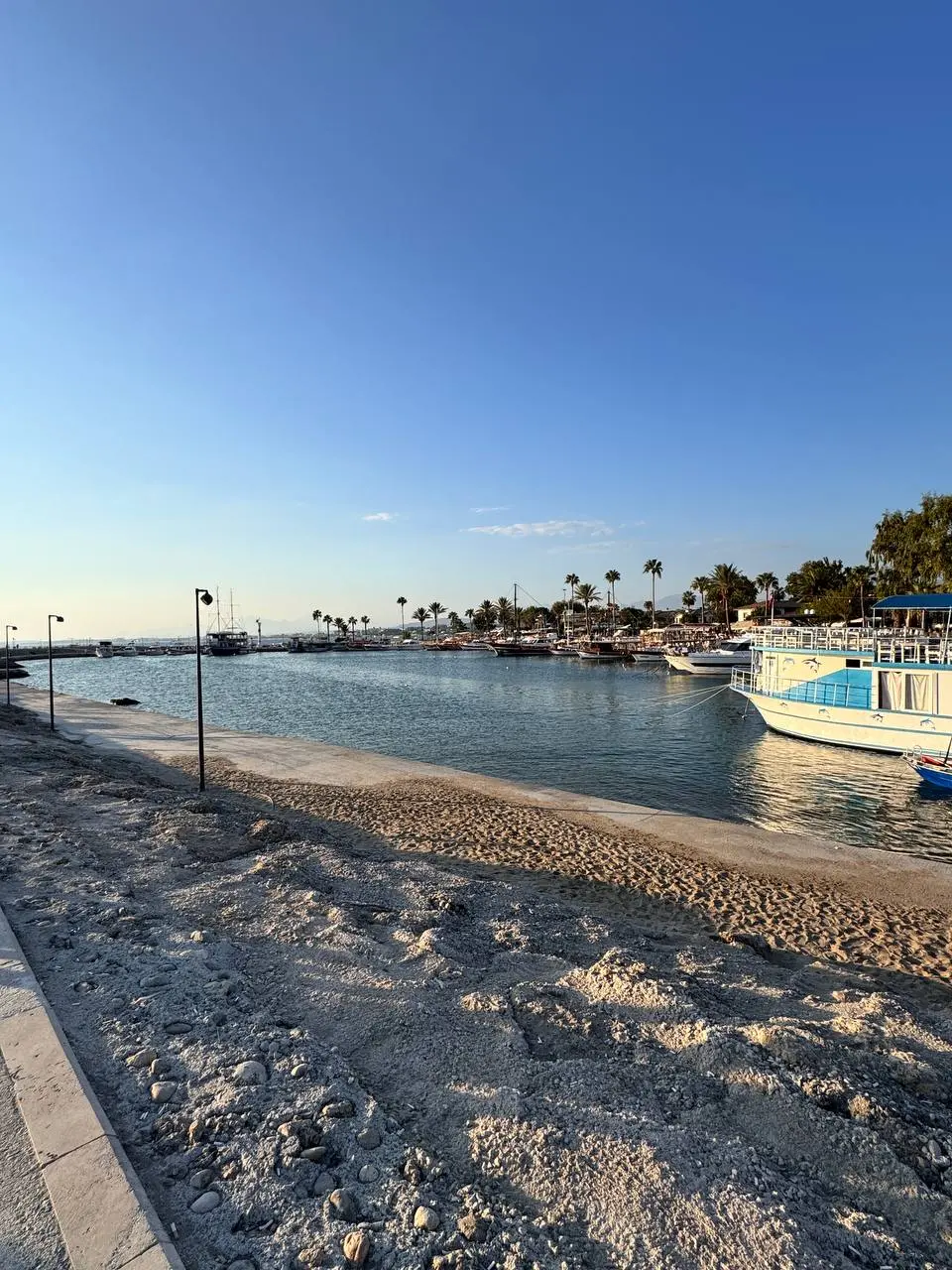 Мы тут увозили детей в отпуск. Да, именно детей. У них был отдых, а у нас рабочие будни родителей 😒
Кстати, на фото причина, по которой старшему будут ставить целый курс прививок от бешенства | Сетка — социальная сеть от hh.ru
