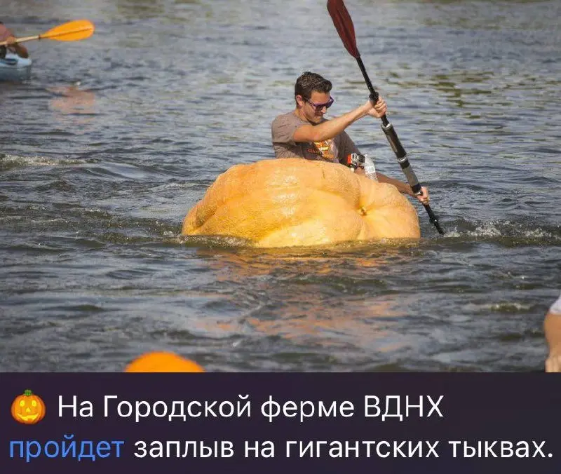 Если вам кажется, что ваши идеи дурацкие, просто посмотрите | Сетка — социальная сеть от hh.ru