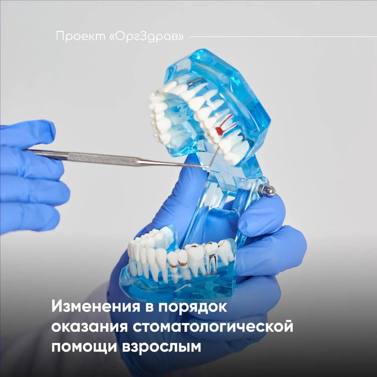 Изменения в порядок оказания стоматологической помощи взрослым
С 1 октября 2026 года вступает в силу Приказ Минздрава от 24.07 | Сетка — социальная сеть от hh.ru