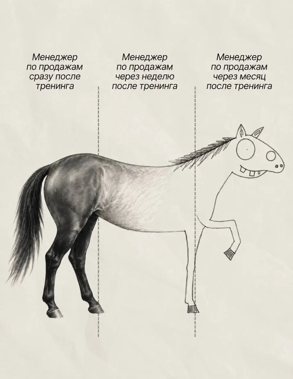 Почему обучение отдела продаж не работает? | Сетка — социальная сеть от hh.ru