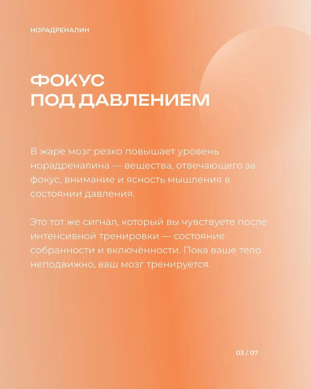 🌡️ Как прокачать фокус, запустить рост новых нейронов и срезать уровень стресса, не сделав ни единого шага?
Нейронаука подтверждает: 20 минут в горячей сауне дают мозгу такую же нагрузку и адаптацию, ... | Сетка — социальная сеть от hh.ru