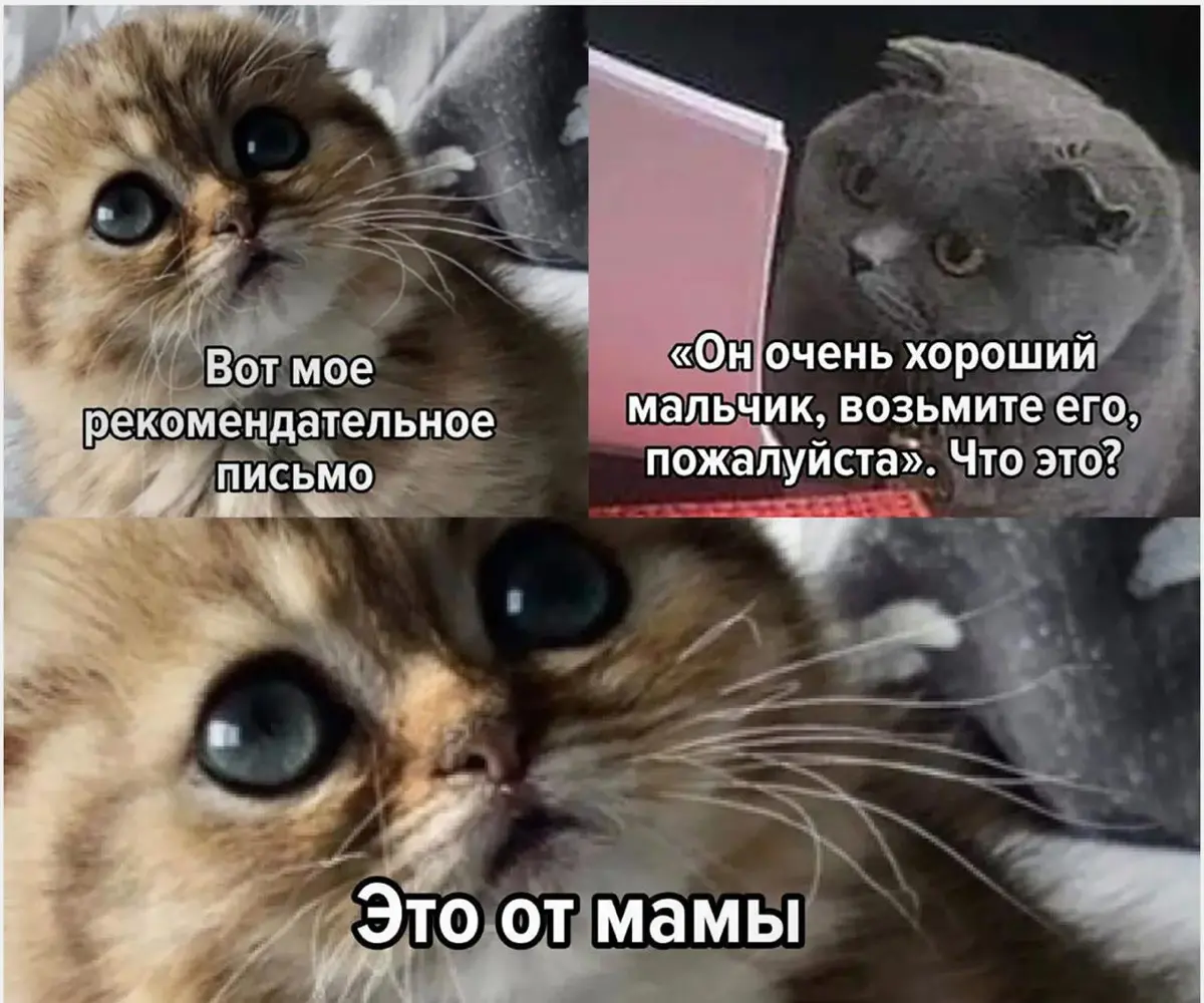 Как я нанимаю людей в команду | Сетка — социальная сеть от hh.ru