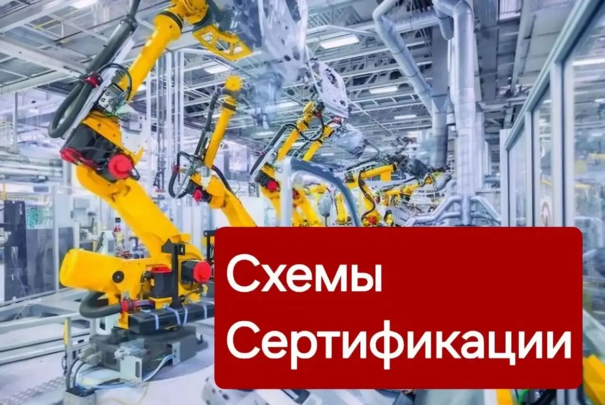 Сертификация. Импорт | Сетка — социальная сеть от hh.ru
