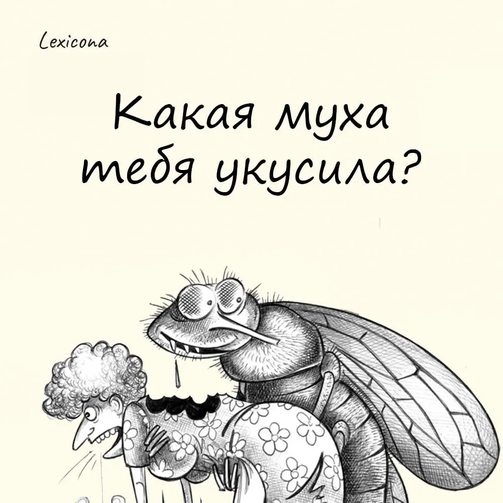 Какая муха тебя укусила?
Этот фразеологизм мы позаимствовали у французов | Сетка — социальная сеть от hh.ru