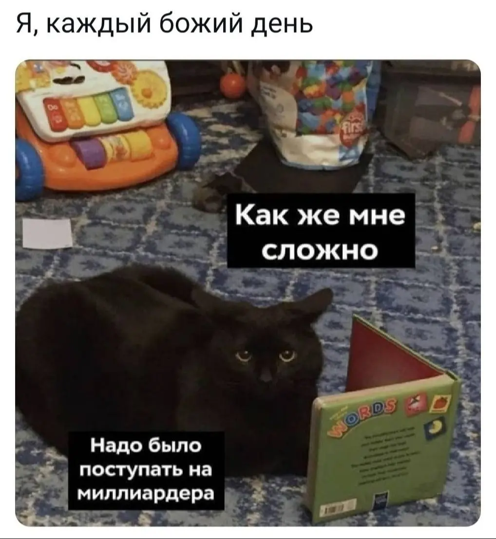 А то и правда 😂
БЛОГ В ТГ / БЛОГ В MAX
#Юмор #Коты
В этом посте были ссылки, но мы их удалили по правилам Сетки | Сетка — социальная сеть от hh.ru