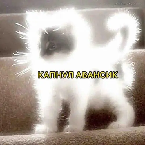 Александр Денщиков