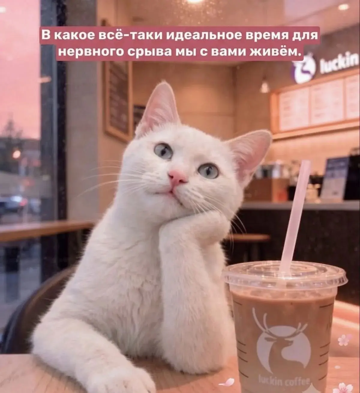 Прекрасное время | Сетка — социальная сеть от hh.ru