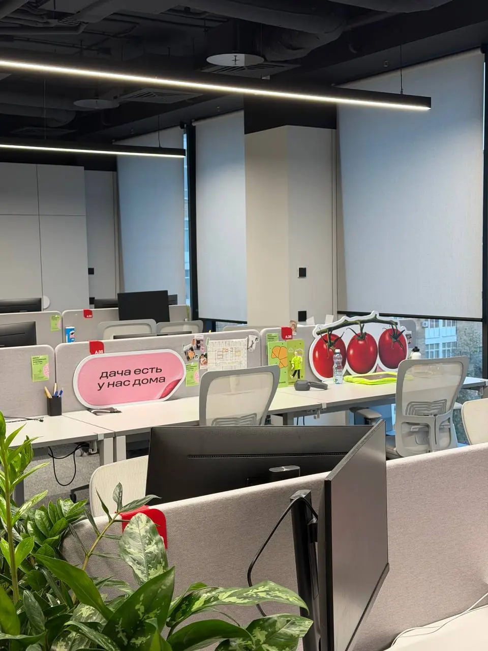 Почти полтора года работы в Магните 🤭
Я работаю в команде подписки, магнит премиум (пользуйтесь подпиской!!!)
За это время, а то чет мало писала про свою работу:

пережит редизайн ДС
2 командировки = ... | Сетка — социальная сеть от hh.ru