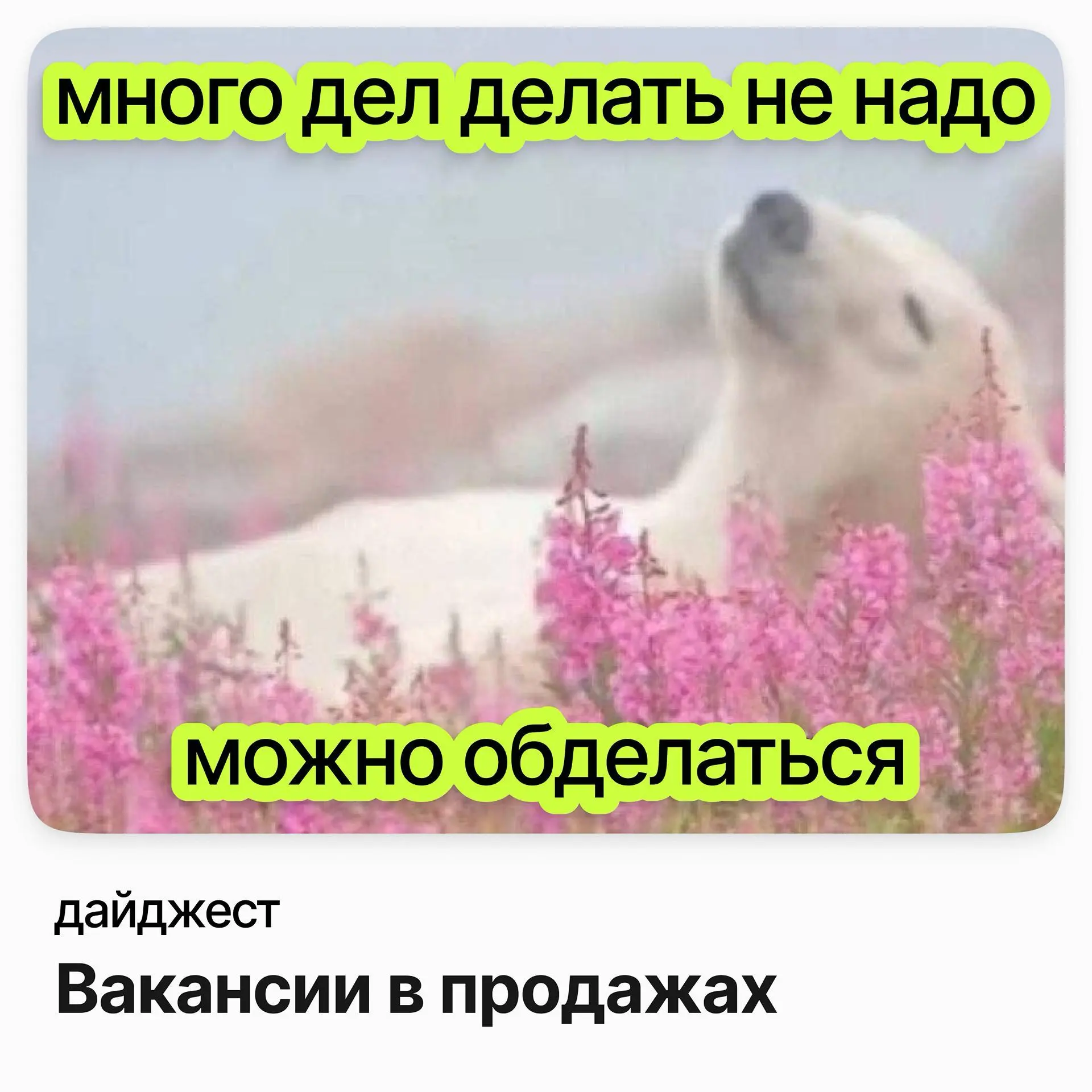 💼💼💼Вакансии в продажах
Старший менеджер по привлечению корпоративных клиентов (Средний и крупный бизнес) / ОТП Банк
Зарплата: до 431 000 ₽ /на руки
Подробнее
Руководитель группы по работе с ключевыми ... | Сетка — социальная сеть от hh.ru