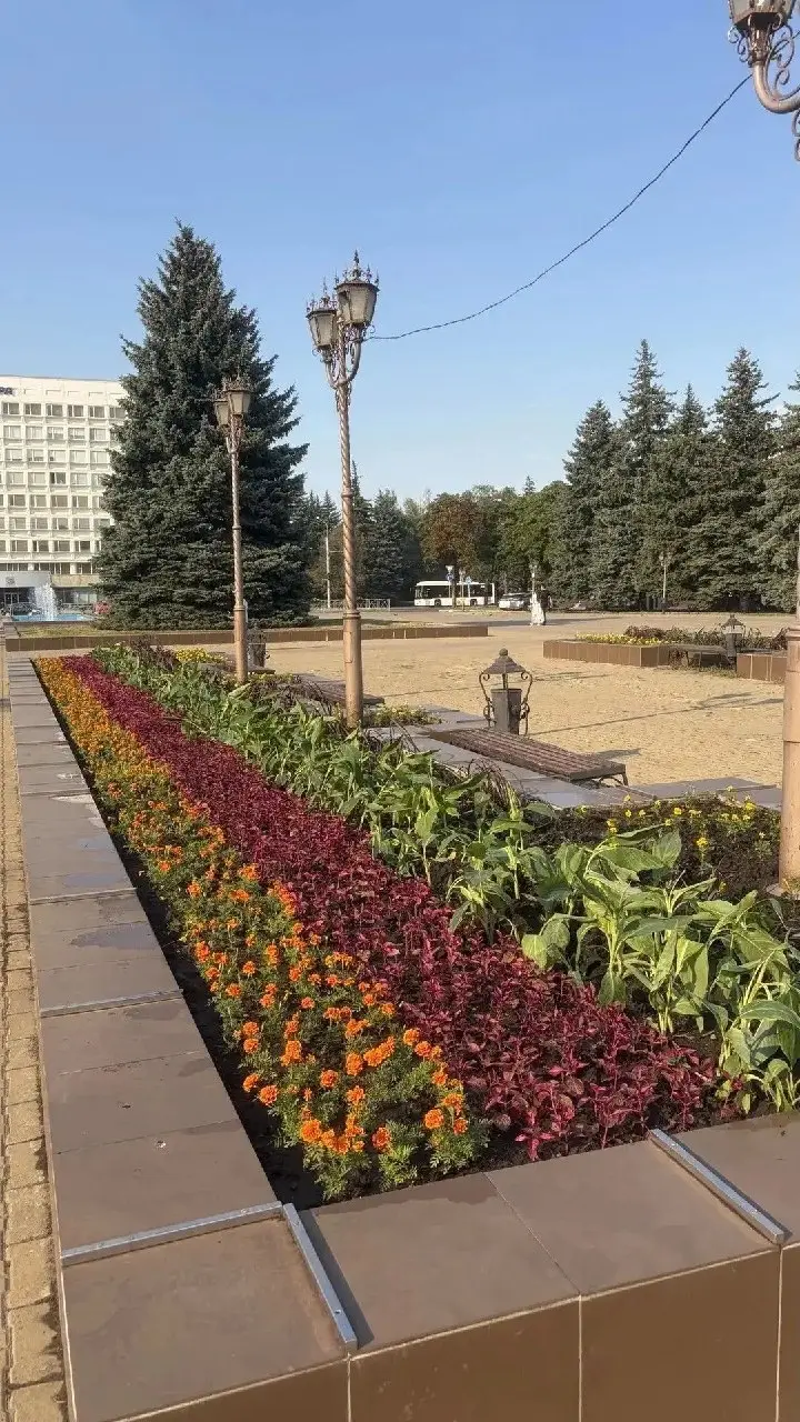 🌺 Ставрополь расцветает перед Днём города
К 249-летию краевой столицы город заметно преображается. На городских клумбах появились более 7 тысяч осенних цветов | Сетка — социальная сеть от hh.ru
