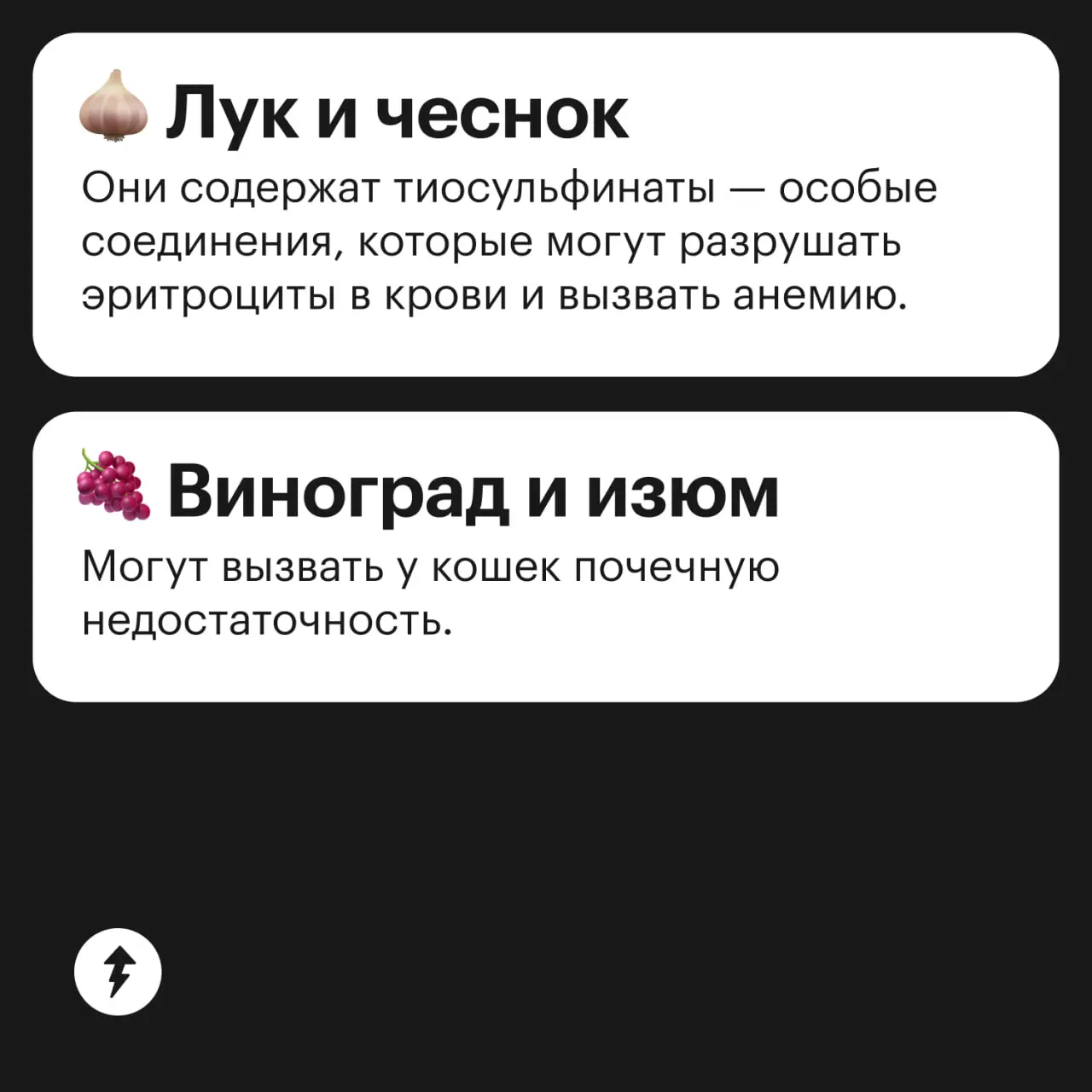 🤵 Что будете заказывать?
🐱 Мне, пожалуйста, лобстера по-королевски в соусе из тунца. Подскажите, не добавляют ли туда мускатный орех? На него у меня аллергия.
⚡️ Как правильно кормить котиков
#мяу | Сетка — социальная сеть от hh.ru
