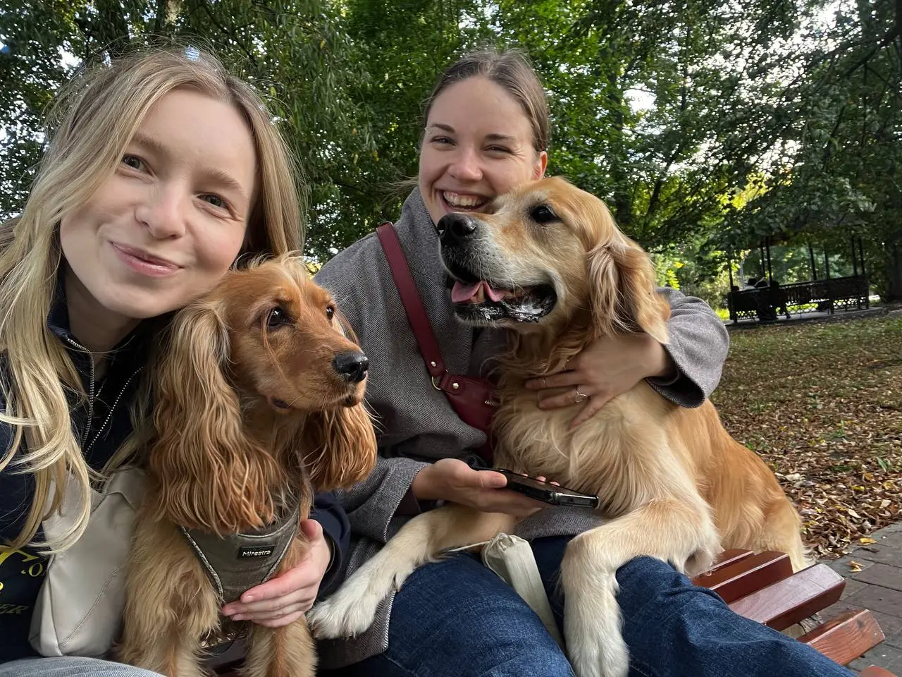 Если дела не идут — я иду заряжаться 😌
Взяла подмышку свою собачку 🐶 и поехала в лес — дышать маткой накапливать женскую энергию, напоминать себе, что жизнь вообще-то прекрасна 🌿
Иногда лучший способ ... | Сетка — социальная сеть от hh.ru