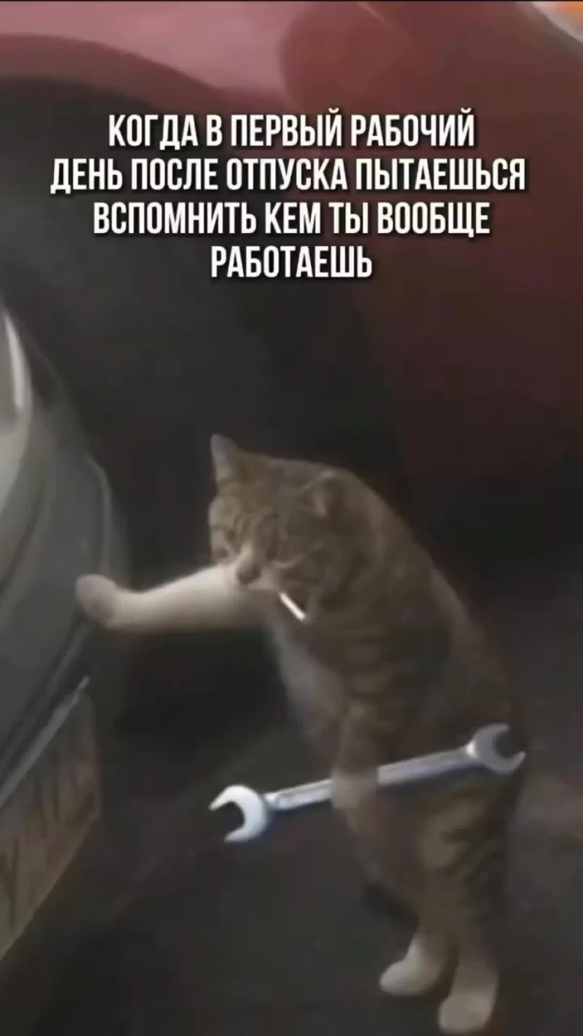 Вспомни не всё | Сетка — социальная сеть от hh.ru
