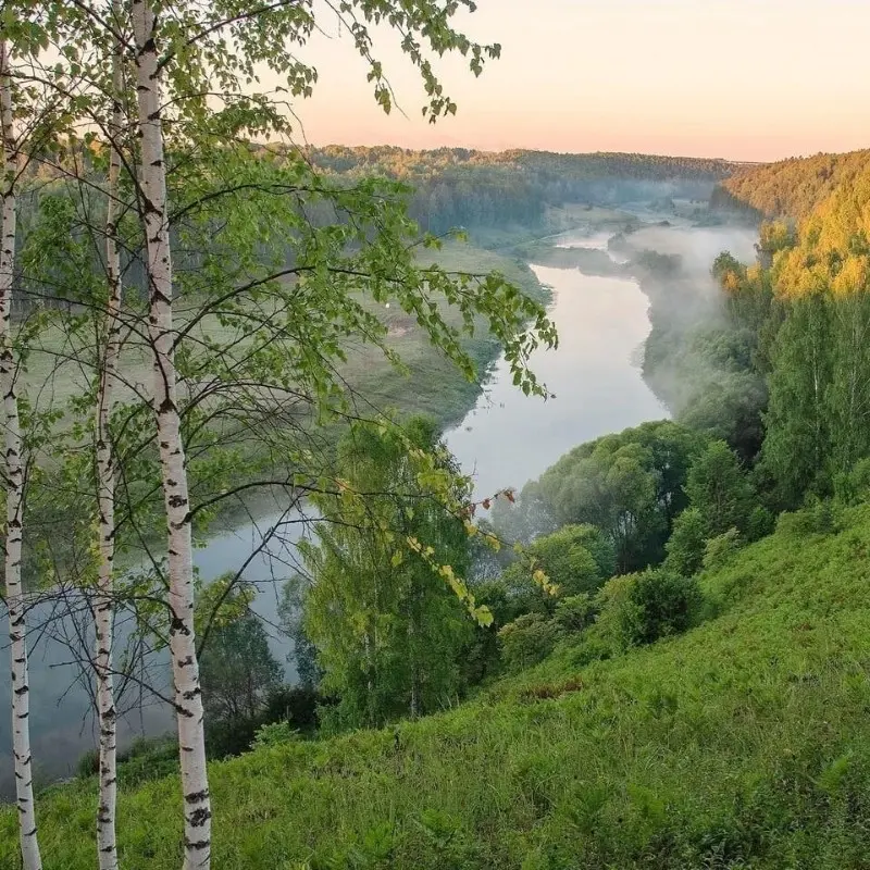 Николай Лукин