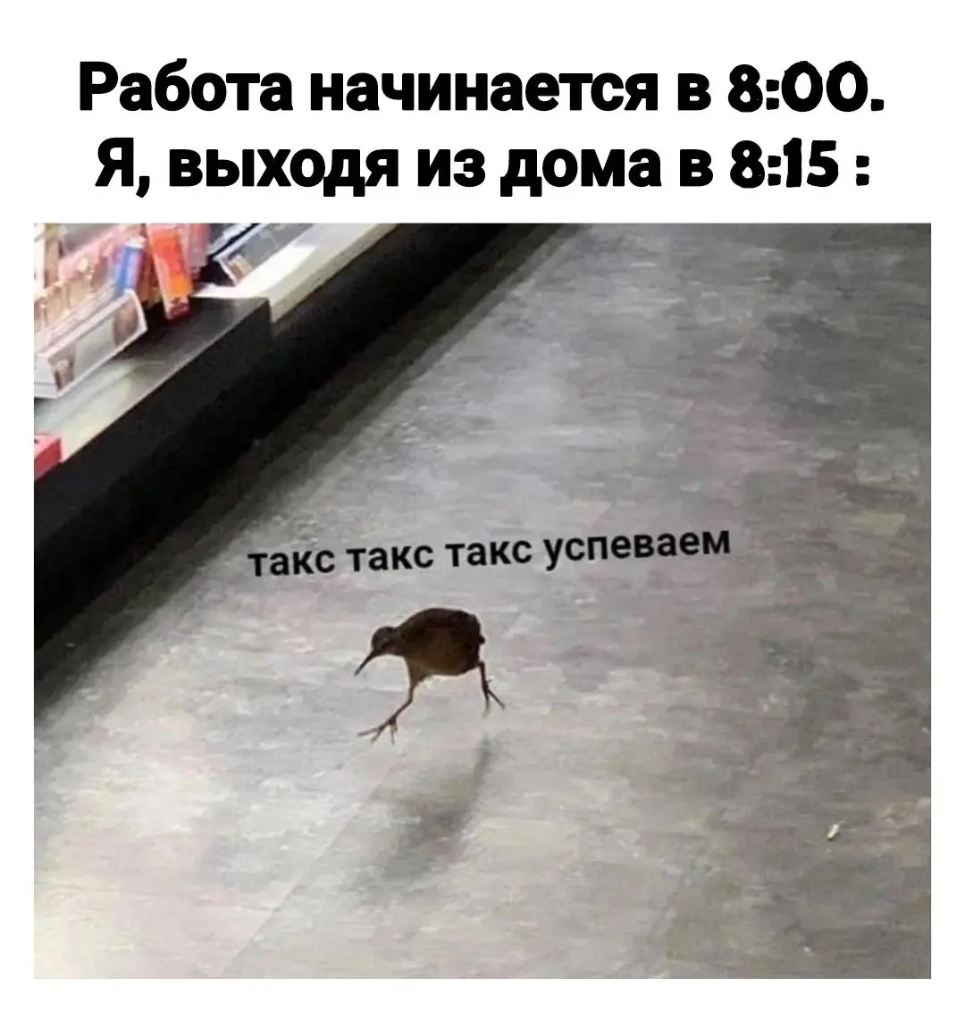 Работа точно не волк 🐺 | Сетка — социальная сеть от hh.ru
